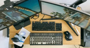 article